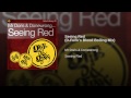 Seeing Red (D-Funk's Blood Boiling Mix)