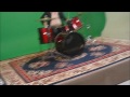 The Booze "Wild One" aXa Behind The Scenes vlog