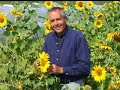 Virginia Farm Bureau - In the Garden - Sunflowers