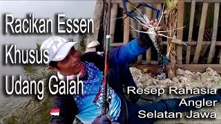Cara Membuat Essen Mancing Udang Galah Giant Prawns Attractant