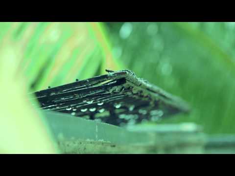 Garva (Poem - Punha Dhag datun yetat) - Milind Ingle