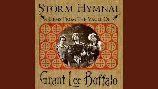 Watch Grant Lee Buffalo Were You There video