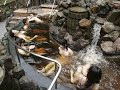 Tắm tiên ở Nhật Bản - Văn hóa Osen tuyệt vời của người Nhật