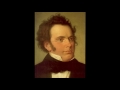 Young Schubert Original So much to give
