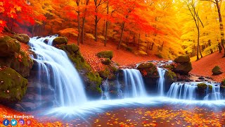 Осенний! Самая Красивая Мелодия В Мире! Лечебная Музыка Для Сердца И Сосудов #Музыка #Музыкадлядуши