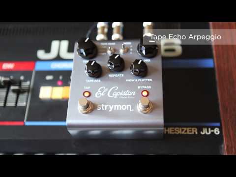 Strymon - El Capistan dTape Echo - Synthesizer Audio Clips