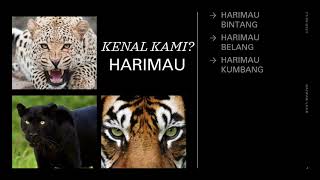 Haiwan Liar