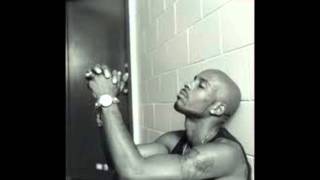 Watch DMX You Could Be Blind video
