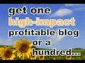 WordPress SEO Theme!