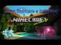 Come Scaricare il Nuovo Minecraft 1.6.2 (1.6.4) Crack Funzionante + Too Many Items, Optifine e X-ray
