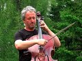 Violoncello
