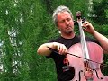 Violoncello
