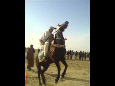 cheikh mamou dolma algérienne.
