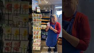Starting Flowers from Seed 2-6-22