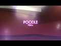 【パラパラ】 POODLE / Y & Co. feat 彩月