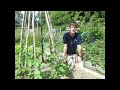 vegetables
