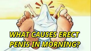 ERECT PENIS IN MORNING GOOD OR BAD?🤔 #shorts