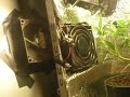 Pc grow box - youtube