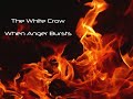 The White Crow - Anger Bursts