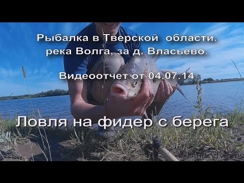с фидером на волгу с фидером на волгу