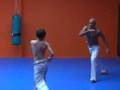 zaragoza capoeira yinga