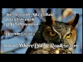 Mike Clelland on Owls and the UFO Phenomenon - 12-21-13