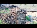 Village Life in Jajarkot Nepal | जाजरकोट नेपालको सुन्दर जीवनशैली IamSuman