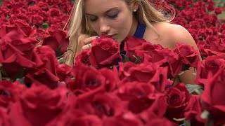 Эти Розы Только Для Тебя!!! Андрей Шпехт