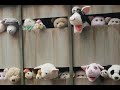 Banksy "Sirens Of The Lambs" Audio Guide #6