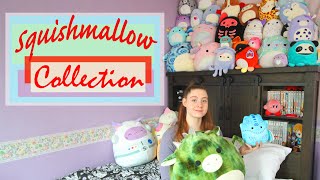 Squishmallow Collection🌸Favorites -Where to Buy🍀