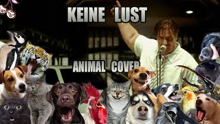 Rammstein - Keine Lust (Animal Cover)