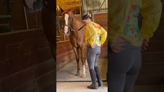 Barn Day Best Day