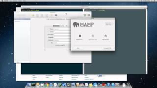 How to install WordPress on MAMP Locally using MAC OS