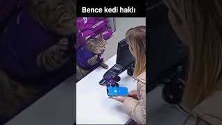 Konuyu Bilmem Ama Kedi Haklı