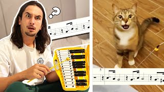 The Kiffness - Xylophone Cat (Singing Cat Collab)
