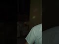 bujar vogli..tallava per kamarjeret e armandos golem...
