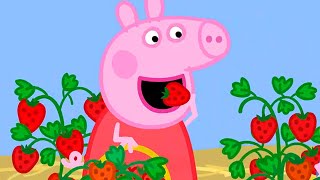 Peppa Pig Full Episodes Season 7 Compilation 37 Kids Tv