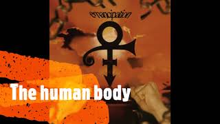 Watch Prince The Human Body video