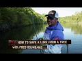 How to Get your Lure out of a Tree