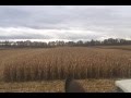 Lexion 770 TT i Polowanie na DZIKI cz.1