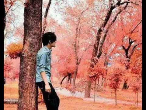 Badi udaas hai zindagi koi to saathi chaahiye