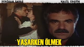 Yaşarken Ölmek Türk Filmi | FULL | HALİL ERGÜN | PERİHAN SAVAŞ