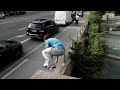 Free Running