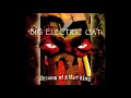 BIG ELECTRIC CAT - Rebecca