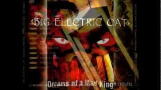 Watch Big Electric Cat Rebecca video