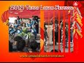 2012 Texas Lunar Festival .wmv