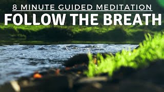 Guided Meditation to Refresh and Focus
