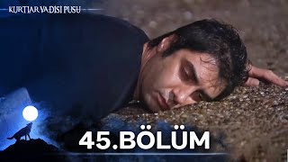 Kurtlar Vadisi Pusu 45. Bölüm Yüksek Görüntü Kalitesi