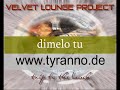 Velvet Lounge Project - Trip to the beach - Sex & 