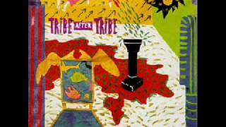 Watch Tribe After Tribe Sally video
